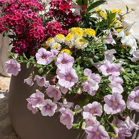 Affittacamere Bhagya