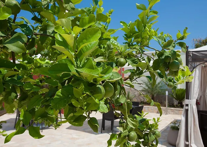 Bhagya 4* غالّيبولي